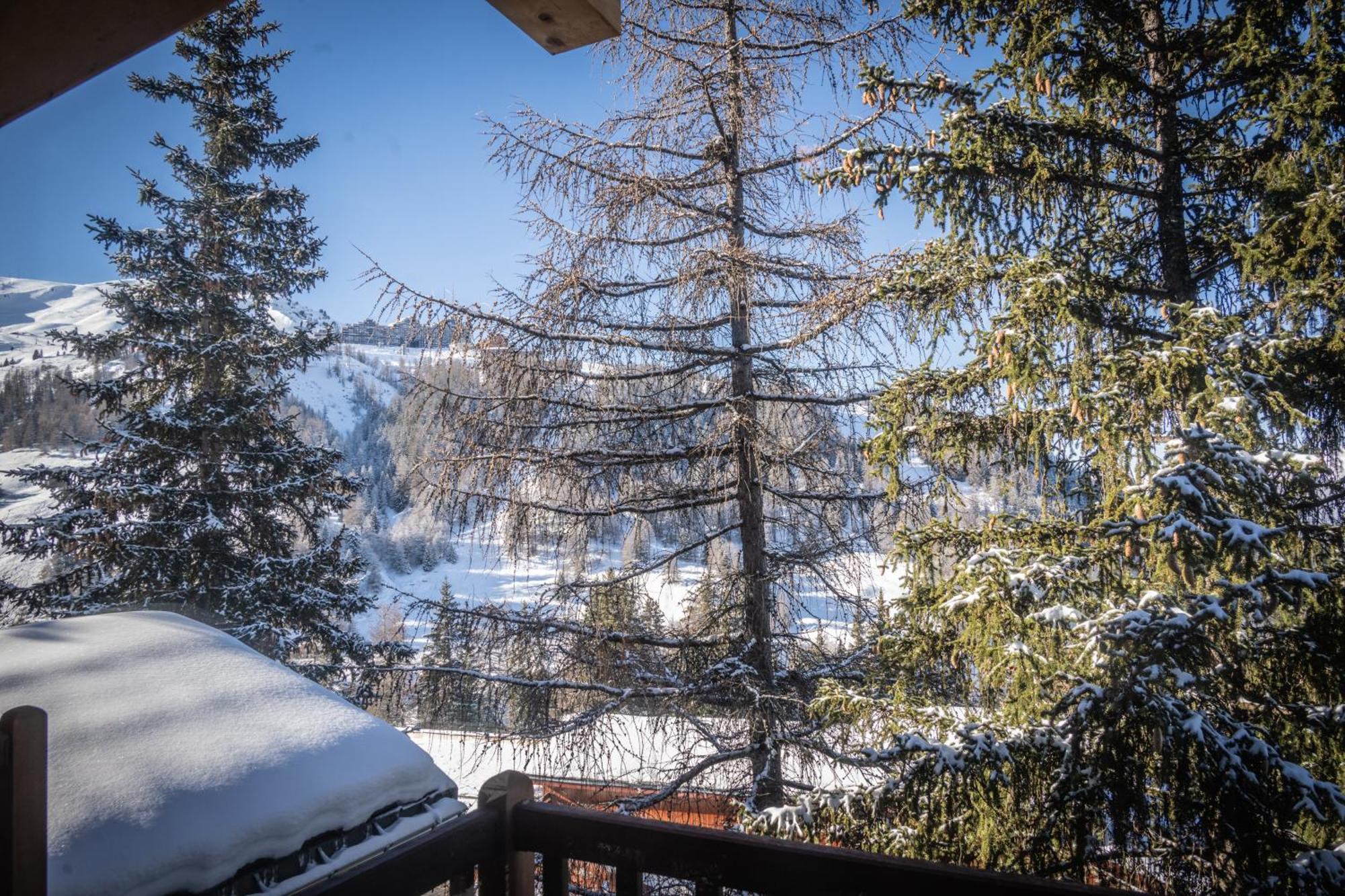 Chalet Du Bois Melay - Piscine - Proche Pistes - 15 Personnes La Plagne Exterior foto